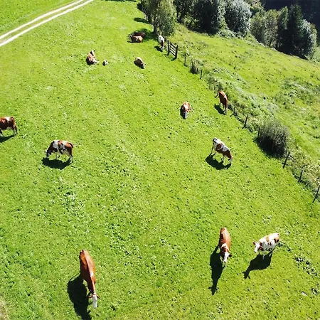 Lejlighed In Hollersbach Near Slopes, Cleaning Included *
