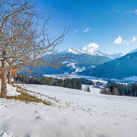 Flat With National Park, Cleaning Included Apartment Hollersbach im Pinzgau