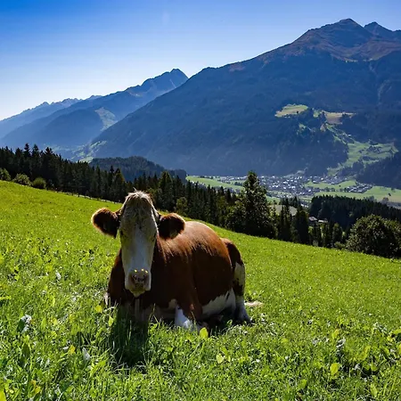 Lejlighed In Hollersbach Near Slopes, Cleaning Included *